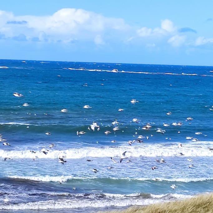 Gite Kerbourc'H Charmant Et Confortable, Mer Et Plages A 3Km, Ploudalmezeau Bagian luar foto